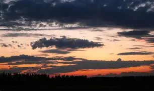 开云体育平台登录-匹诺曹的谎言极乐大道221